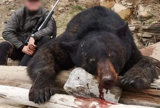 Skærmbillede 2024 07 04 082324