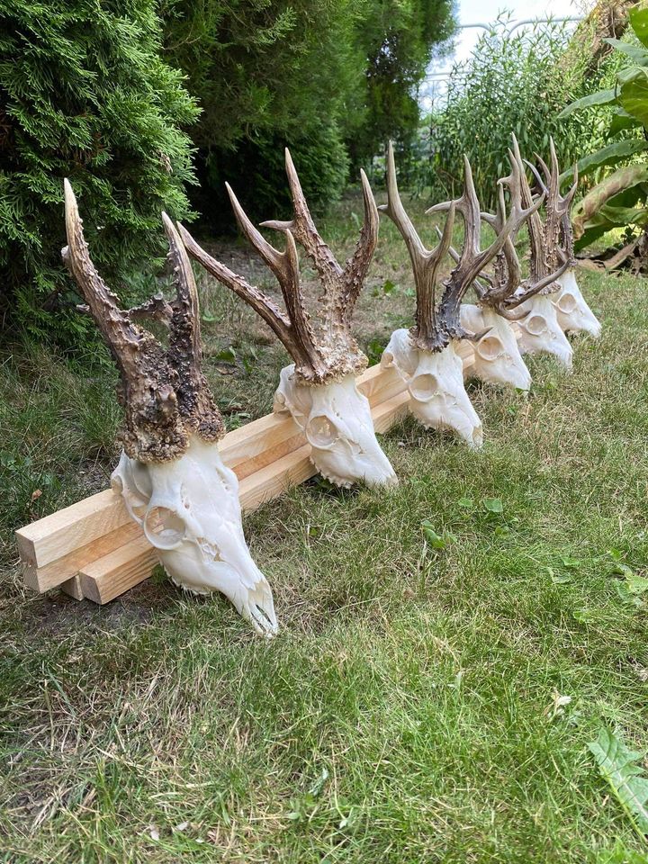 347548542 1019621399337345 1722462353981635482 N