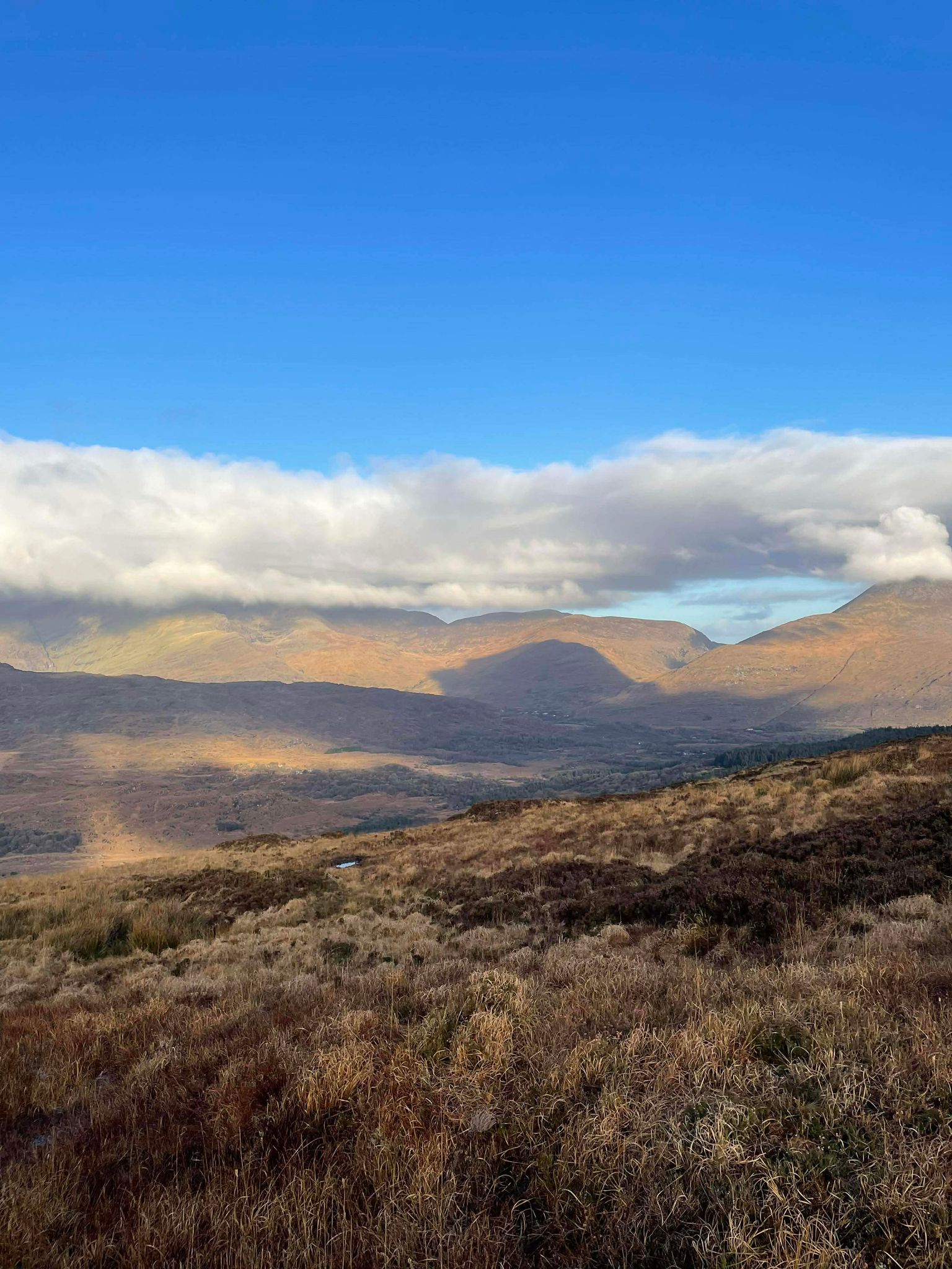 Whatsapp Image 2025 11 19 At 18.29.04 (1) Min