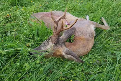 362606807 1028757831757035 1012522079268816755 N