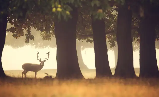 Kopi Af Hjemmeside Og PDF Format 169 (16) (1)