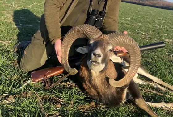 Skærmbillede 2023 05 30 151906