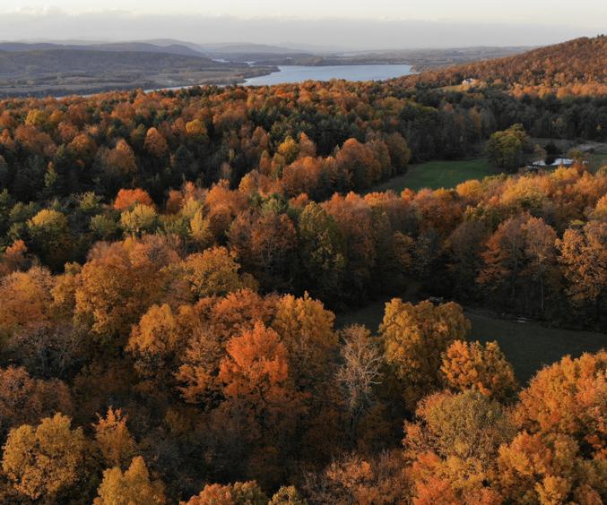 Hjemmeside Og PDF Format 169 (2) Min