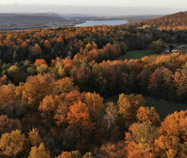 Hjemmeside Og PDF Format 169 (2) Min