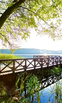 17180128764023 Herbariumhotel36