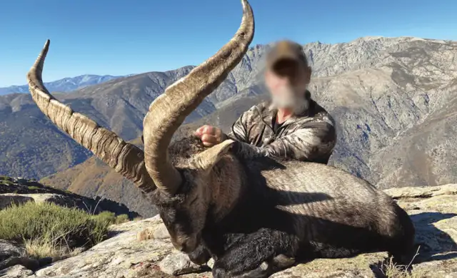 Skærmbillede 2024 10 18 134617 Min