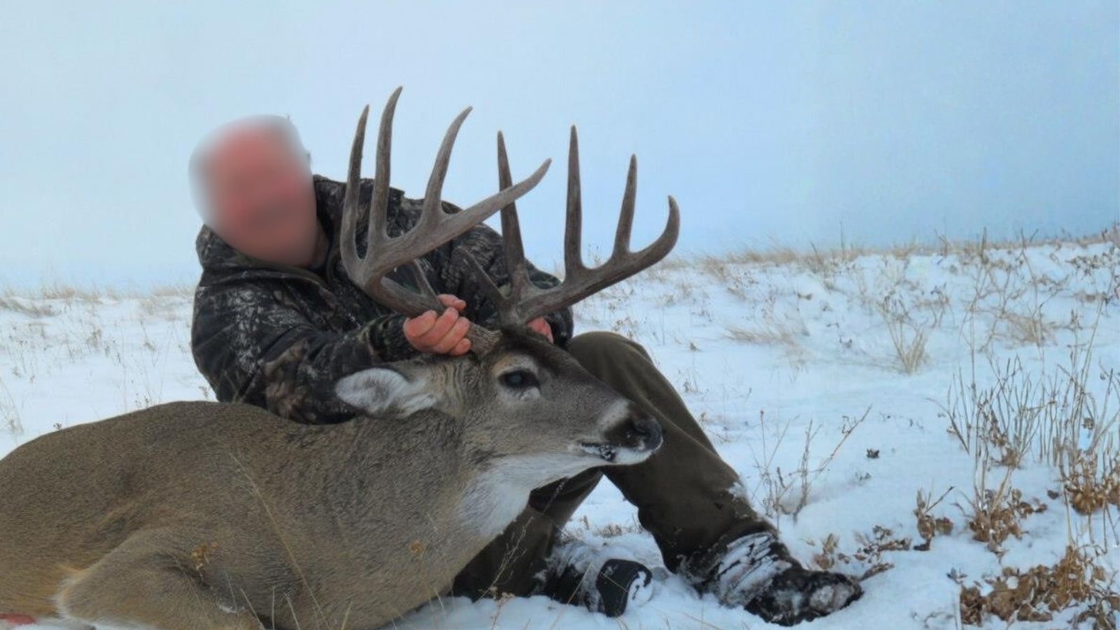 Kopi Af Hjemmeside Og PDF Format 169 (5) Min