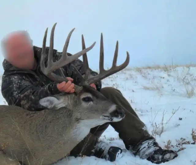 Kopi Af Hjemmeside Og PDF Format 169 (5) Min