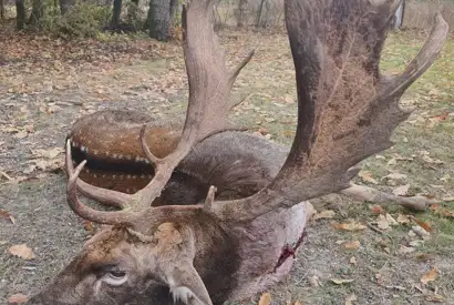 8D3eb0cf 0F0f 45D5 97A5 B91ef304cdbd