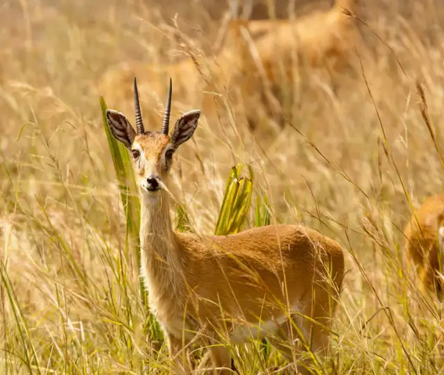 Billeder Hjemmeside (3) Min