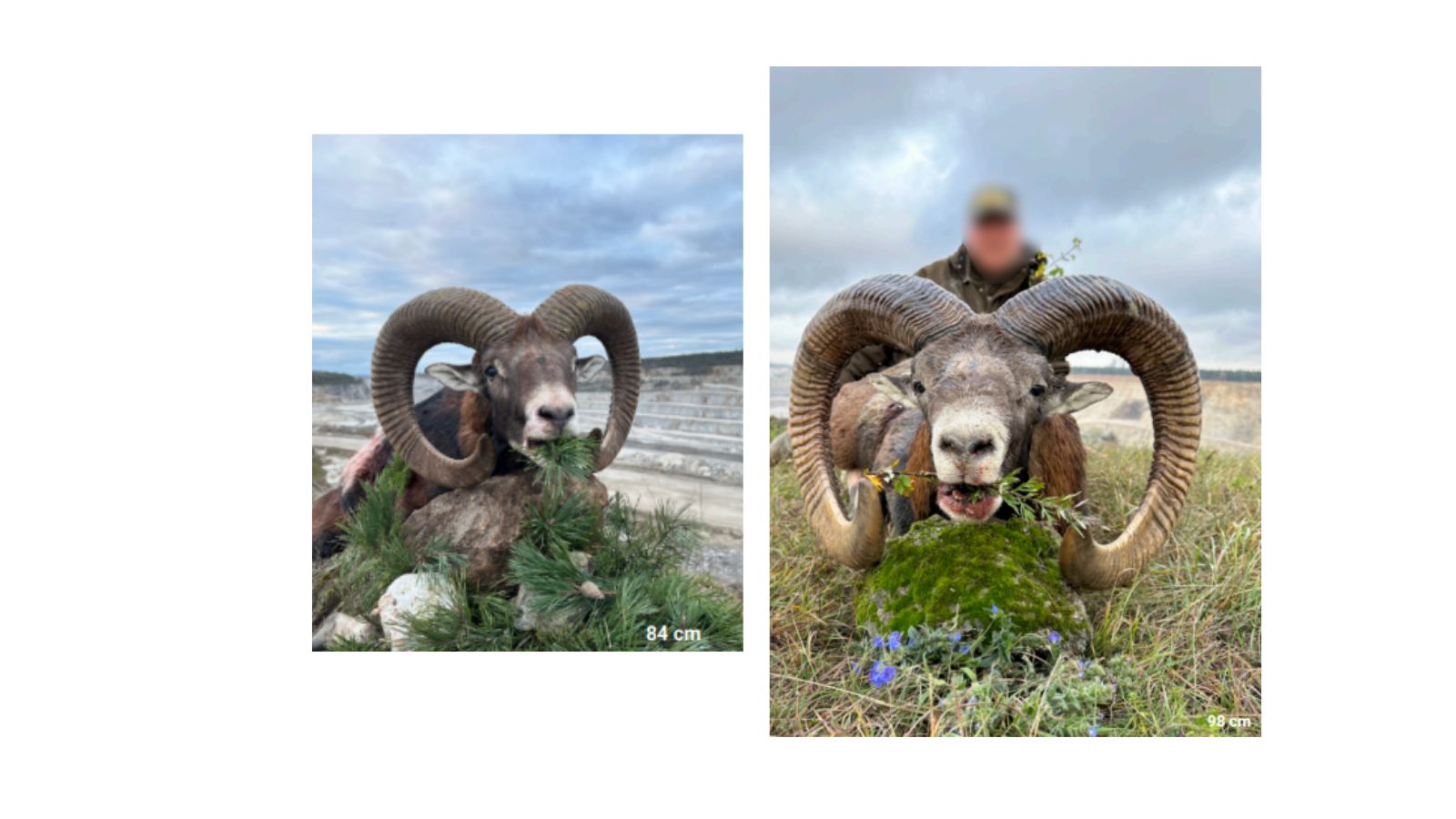 Kopi Af Hjemmeside Og Pdf Format 169 19