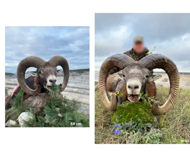 Kopi Af Hjemmeside Og Pdf Format 169 19