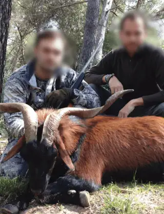 Skærmbillede 2024 12 04 125641 Min