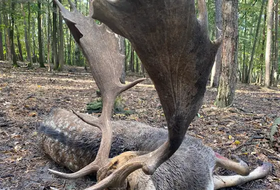 391661198 1089849318981219 1569865787117771298 N