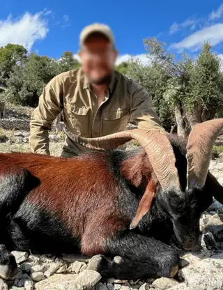 Skærmbillede 2024 12 04 125746 Min