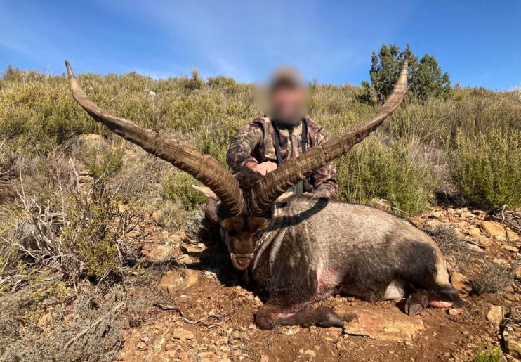 Design Uden Navn (36)