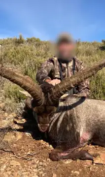 Design Uden Navn (36)