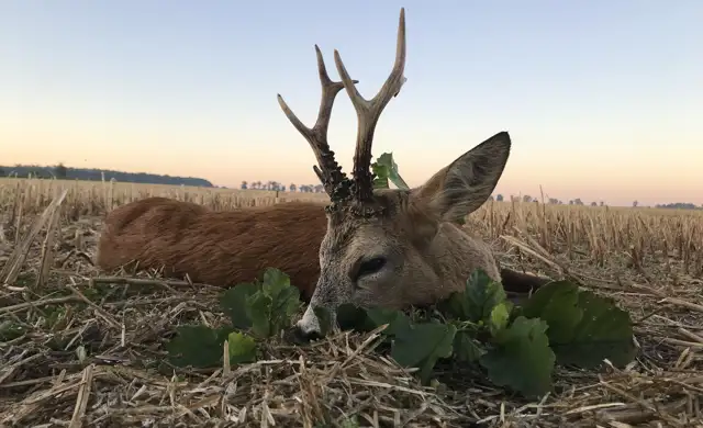 405696075 1112704803362337 125244341983299942 N