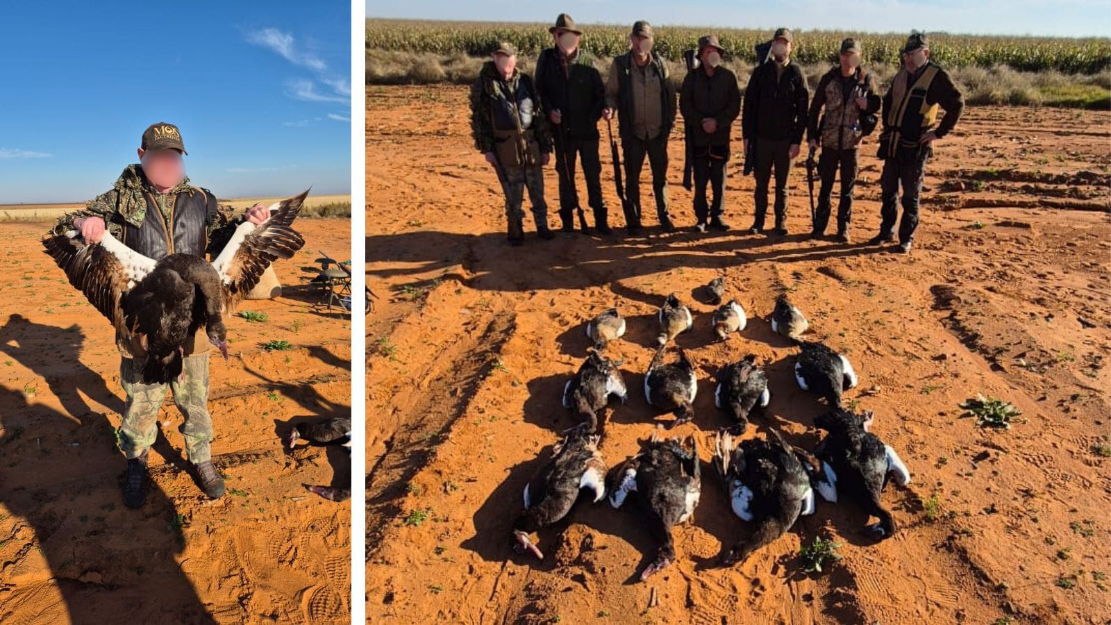 Kopi Af Hjemmeside Og PDF Format 169 (1) Min