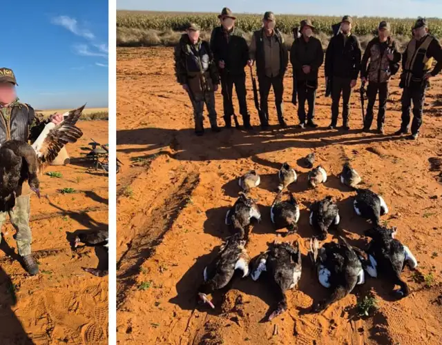 Kopi Af Hjemmeside Og PDF Format 169 (1) Min