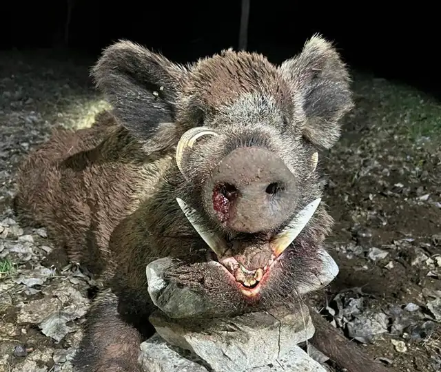 Whatsapp Image 2023 03 29 At 03.09.38 (2)