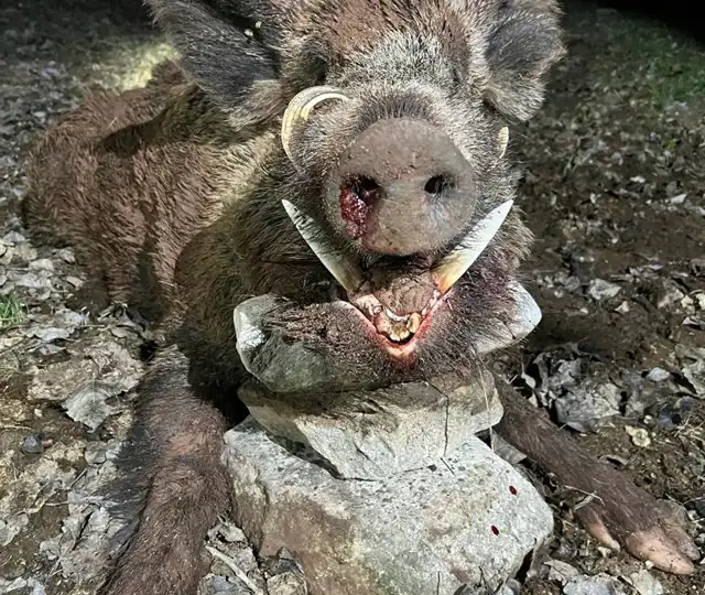 Whatsapp Image 2023 03 29 At 03.09.38 (2)