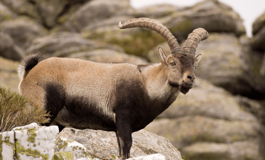 Skærmbillede 2024 10 18 151458 Min