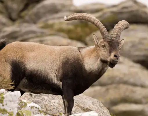 Skærmbillede 2024 10 18 151458 Min