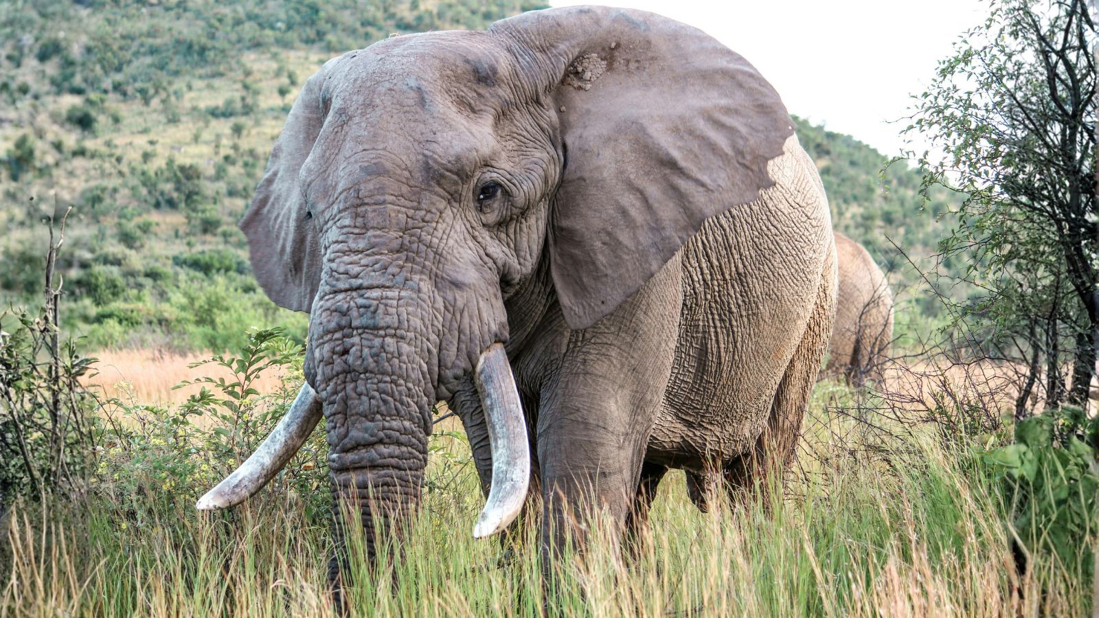 Kopi Af Hjemmeside Og PDF Format 169 (16)