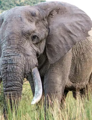 Kopi Af Hjemmeside Og PDF Format 169 (16)