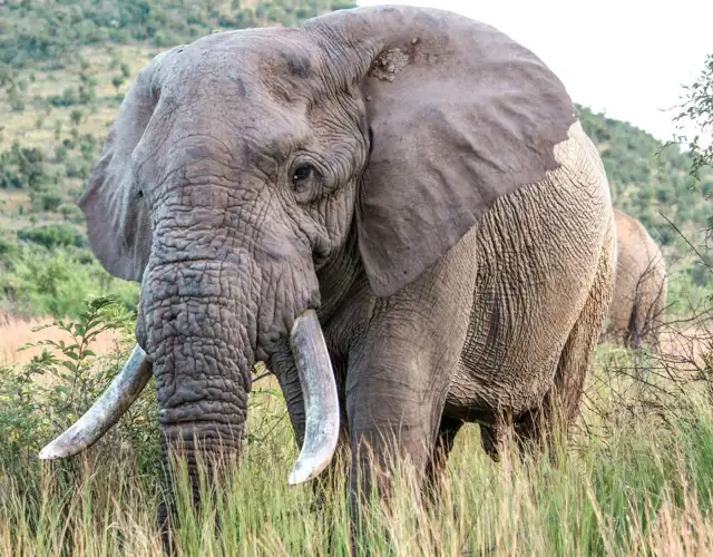 Kopi Af Hjemmeside Og PDF Format 169 (16)