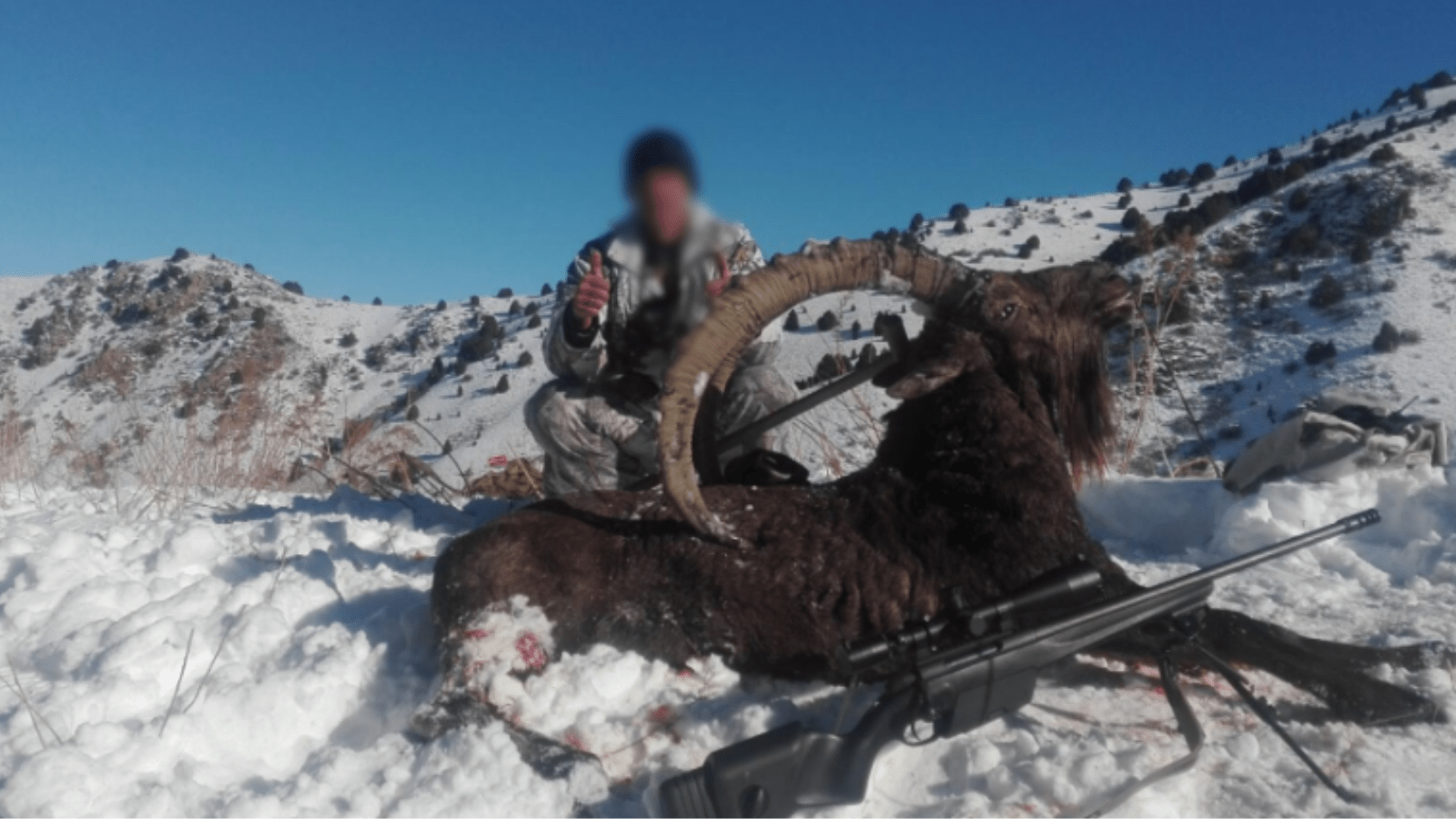 Hjemmeside Og PDF Format 169 (2) Min