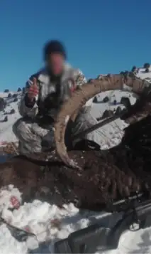 Hjemmeside Og PDF Format 169 (2) Min