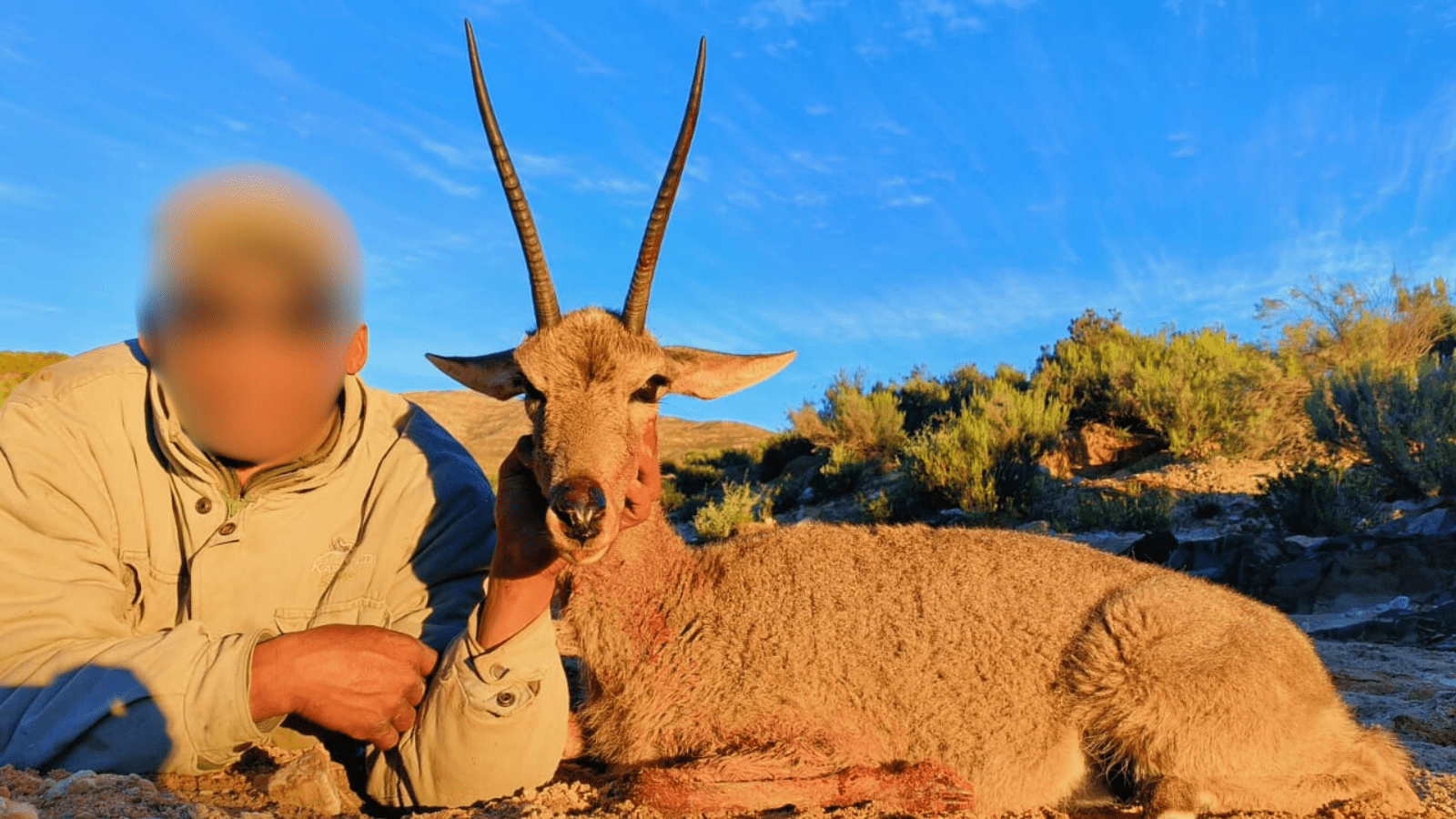 Kopi Af Hjemmeside Og PDF Format 169 (3) Min