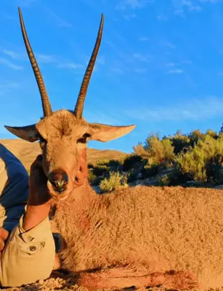 Kopi Af Hjemmeside Og PDF Format 169 (3) Min