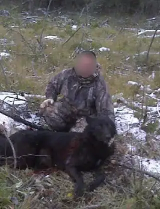 Kopi Af Hjemmeside Og PDF Format 169 (4) Min