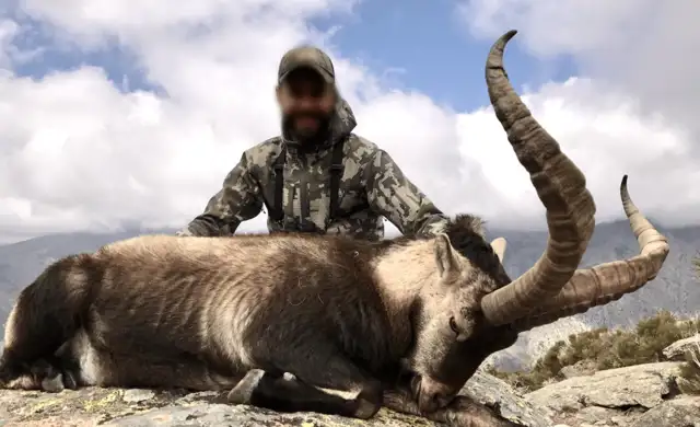 Skærmbillede 2024 10 18 134533 Min