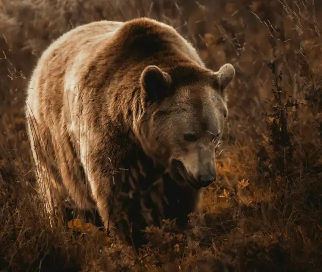 Kopi Af Hjemmeside Og PDF Format 169 (19) (1)