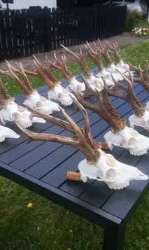 199375492 544541226570238 3433702680573046809 N