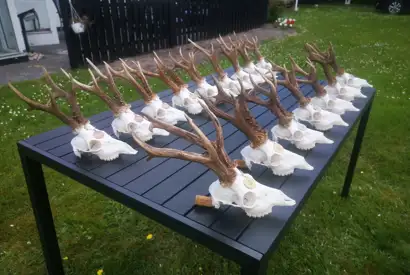 199375492 544541226570238 3433702680573046809 N