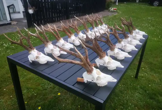 199375492 544541226570238 3433702680573046809 N