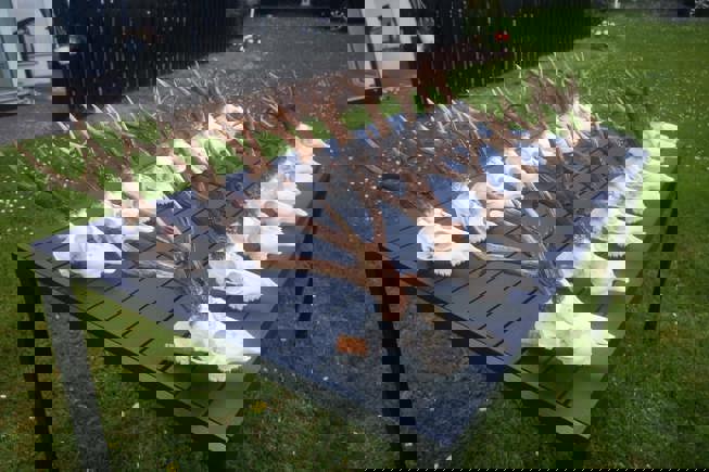 199375492 544541226570238 3433702680573046809 N