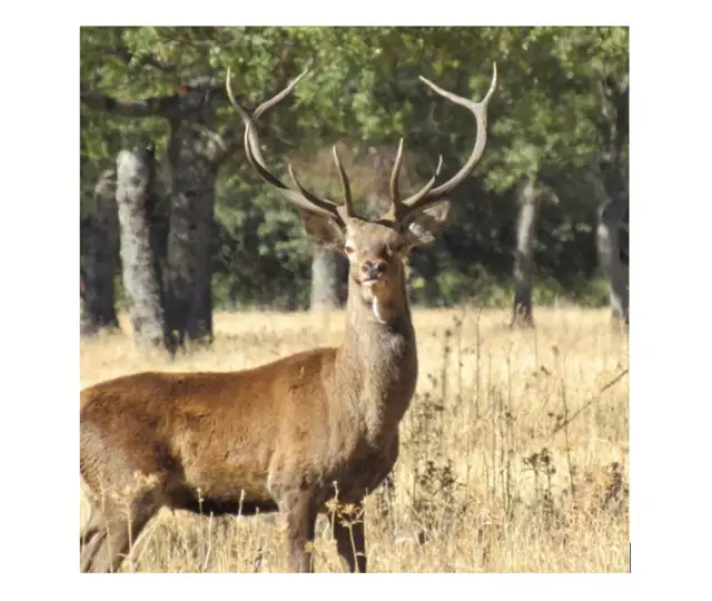 Skærmbillede (685) (1)