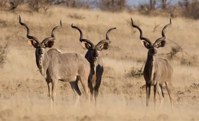 Second Set Print 311628610744367