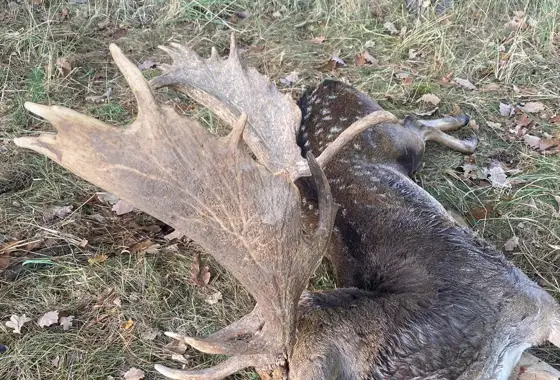 391672024 1089849348981216 3281084140160724732 N