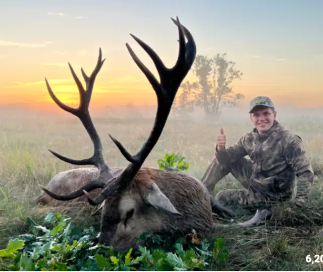 Skærmbillede 2026 04 10 Kl. 11.37.11