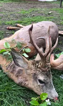 200301955 2932973210323324 7340763261336256481 N