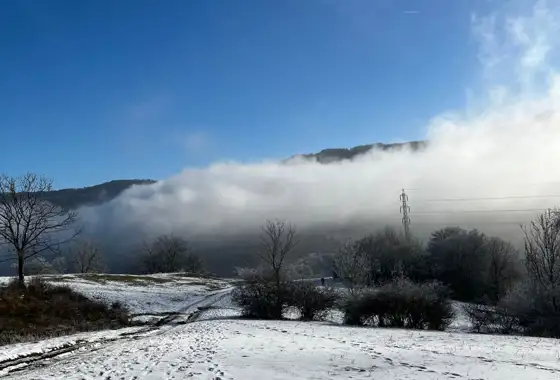 Whatsapp Image 2025 06 10 At 08.46.35 (8)