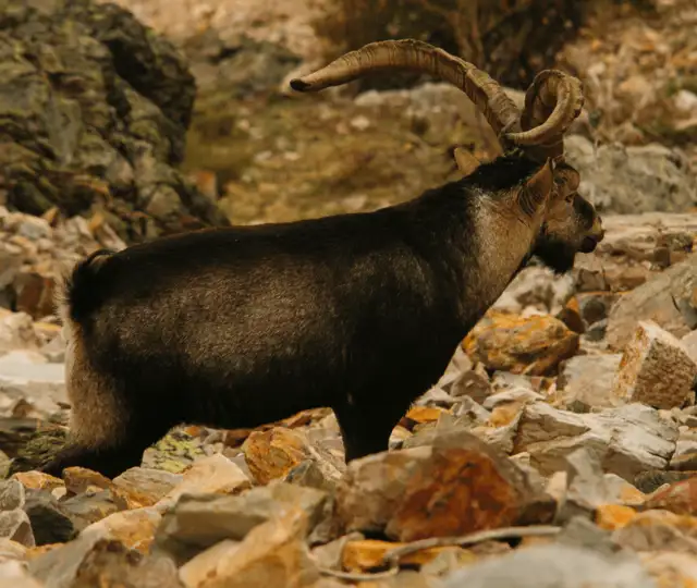 Skærmbillede 2024 10 18 135815 Min