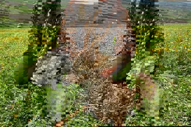 198937880 341274660762672 7878993315825058881 N (1)